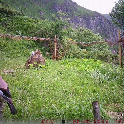 pieges_photographiques-5